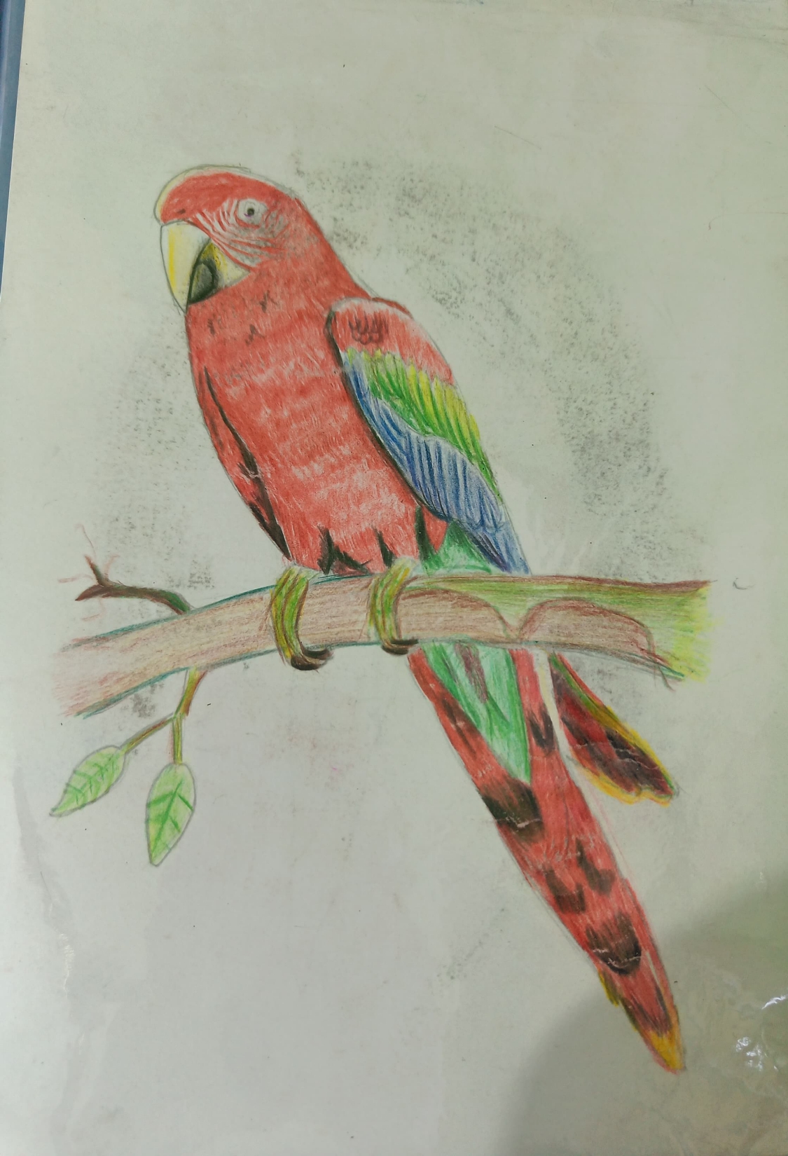 Portrait artwork by Vidya Kathare